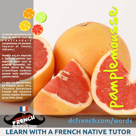 Capture d'écran 2019-03-01 13.20.54